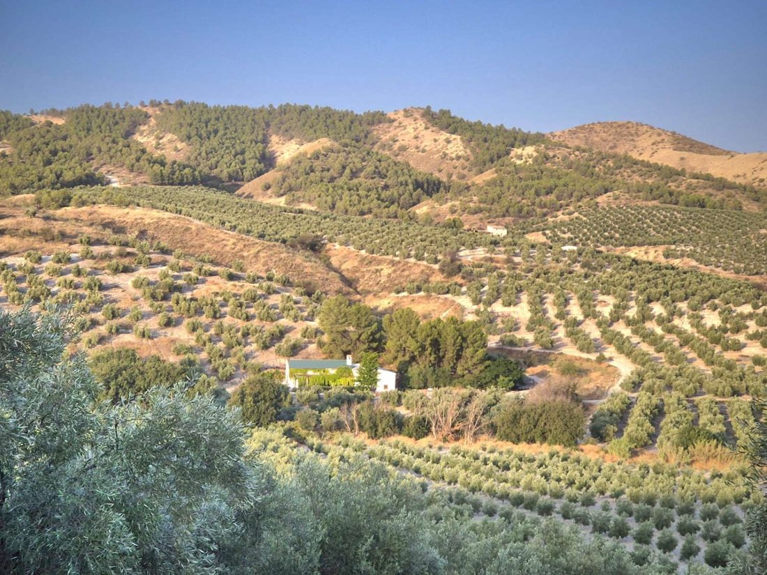 Finca in Peal de Becerro, Andalusia, Spain 1 - 18424123