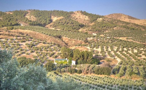 Finca a Peal de Becerro, Andalusia, Spagna 1