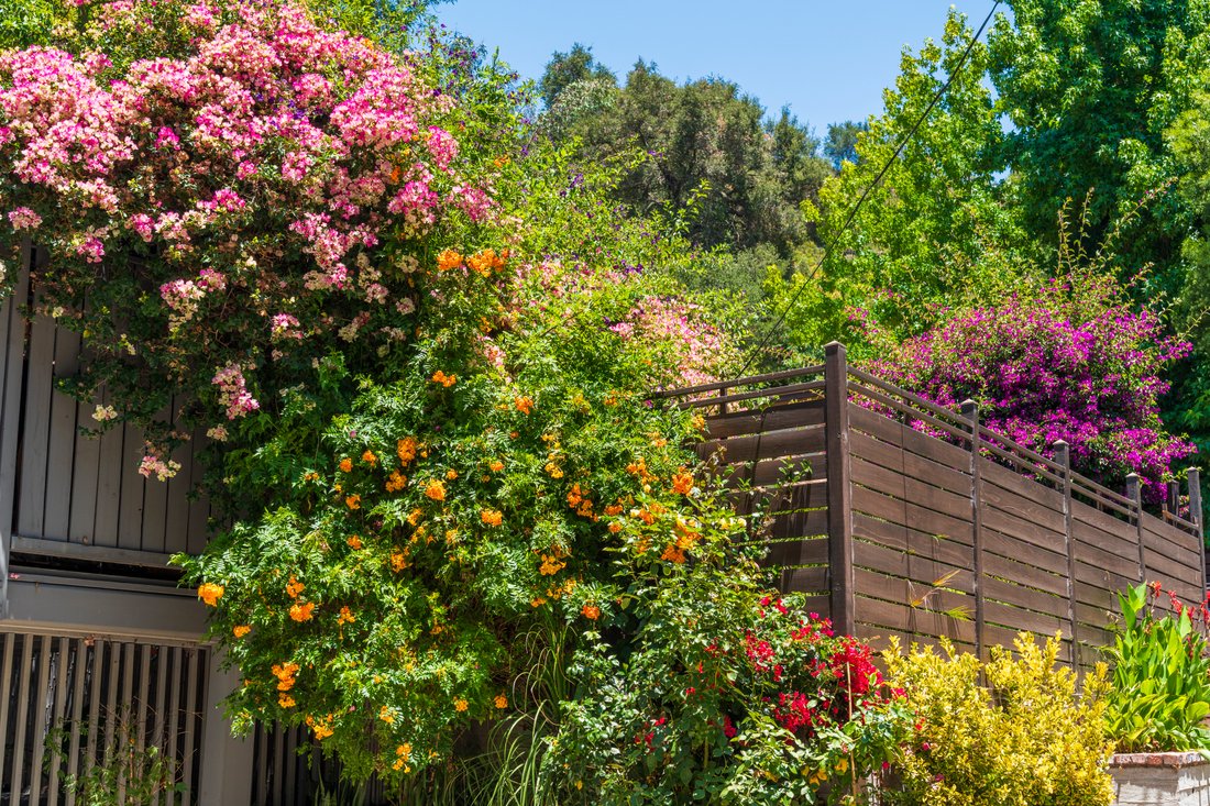 House in Beverly Hills, California, United States 2 - 18421504