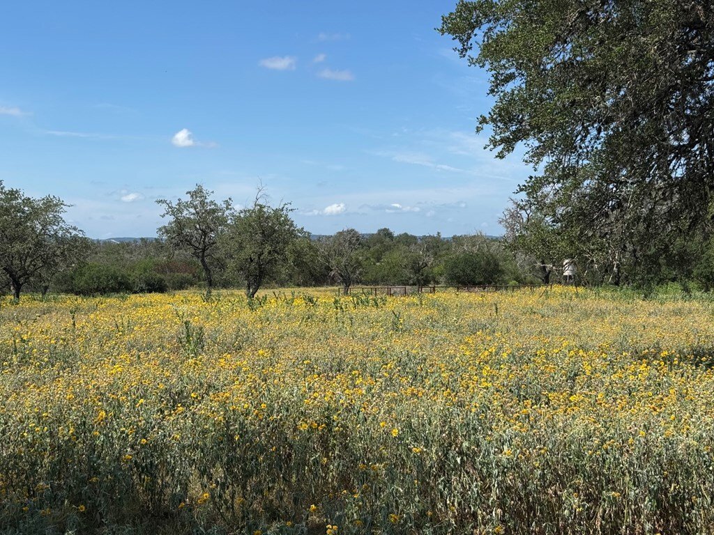 House in Bandera, Texas, United States 4 - 18422398
