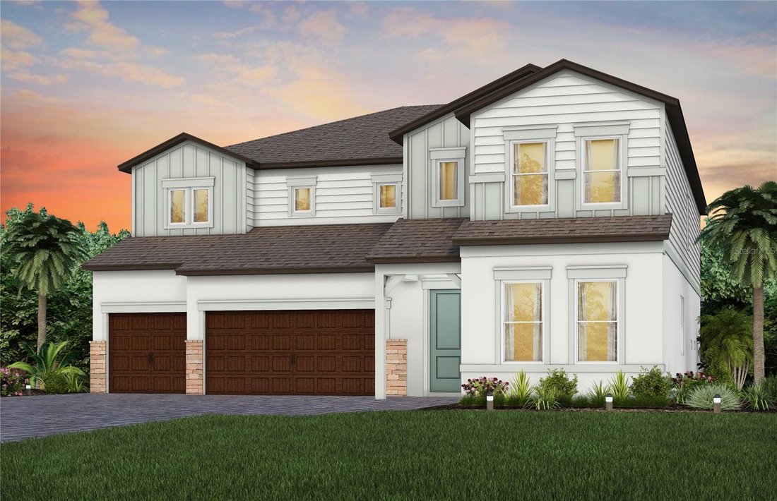 House in Wesley Chapel, Florida, United States 1 - 18422214