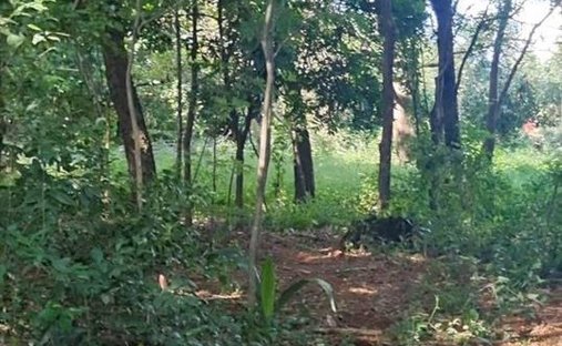 Land in Fernando de la Mora, Central Department, Paraguay 1