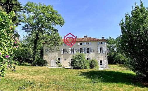 Castle in Saint-Martin-de-Caralp, Occitania, France 1