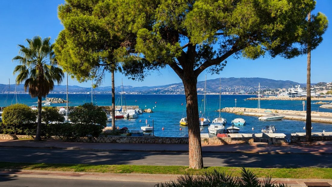 Apartment in Cannes, Provence-Alpes-Côte d'Azur, France 1 - 18421465