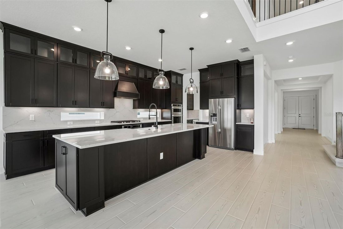 House in Wesley Chapel, Florida, United States 4 - 18422214