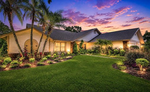 House in Odessa, Florida, United States 1