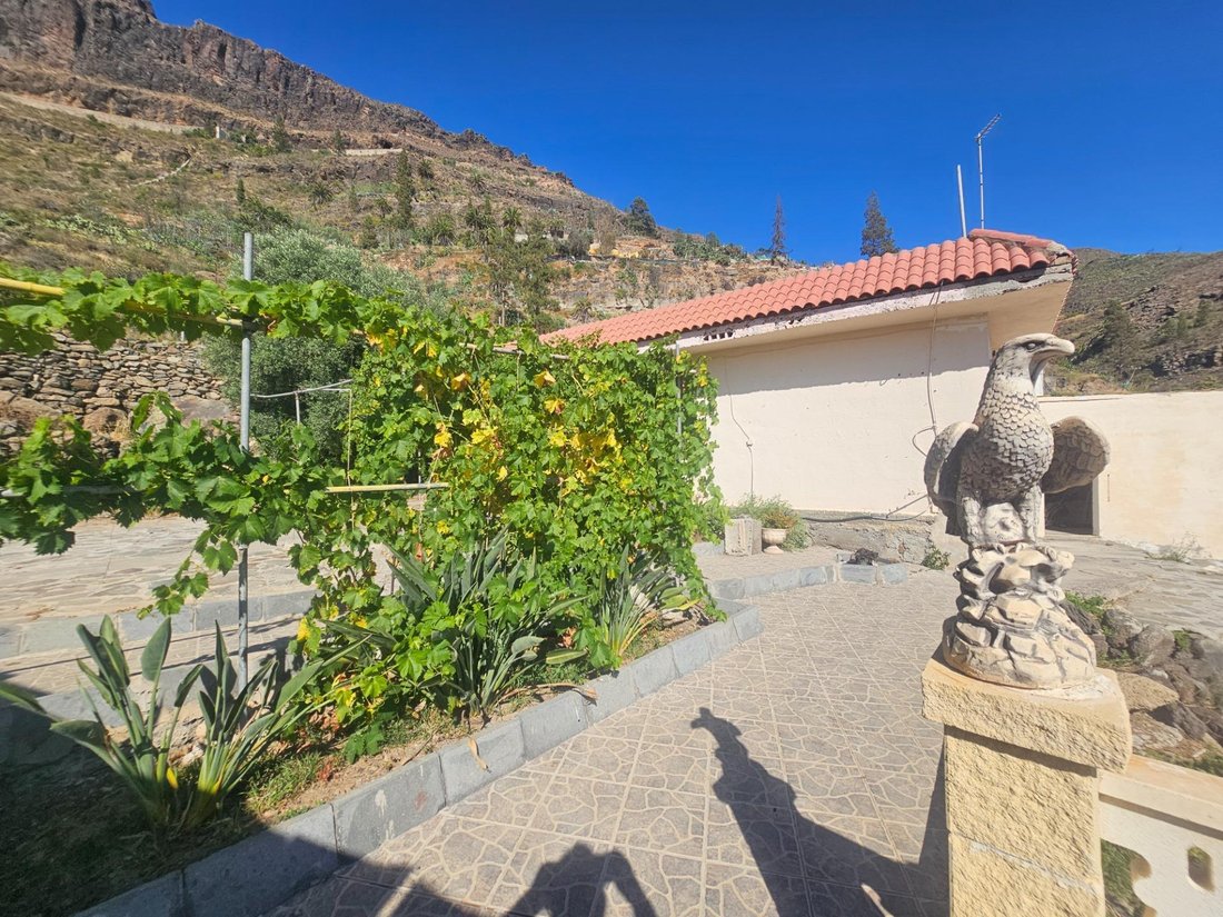 Country House in San Bartolome de Tirajana, Canary Islands, Spain 1 - 18423691