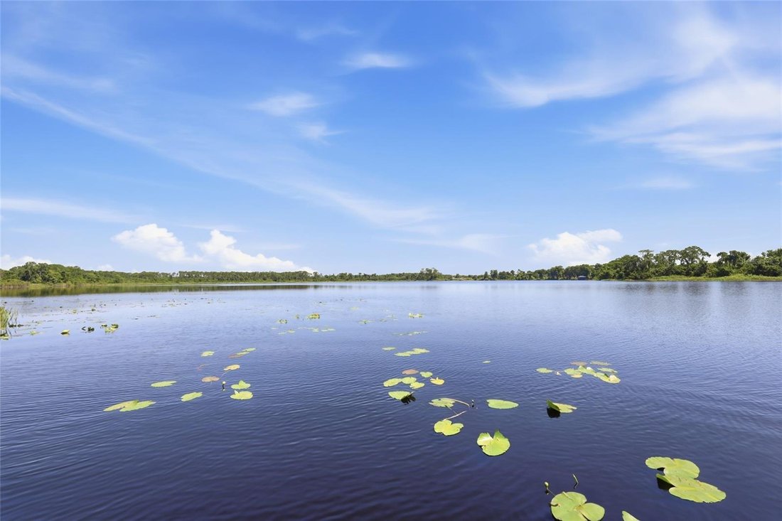 House in Orlando, Florida, United States 2 - 18422200
