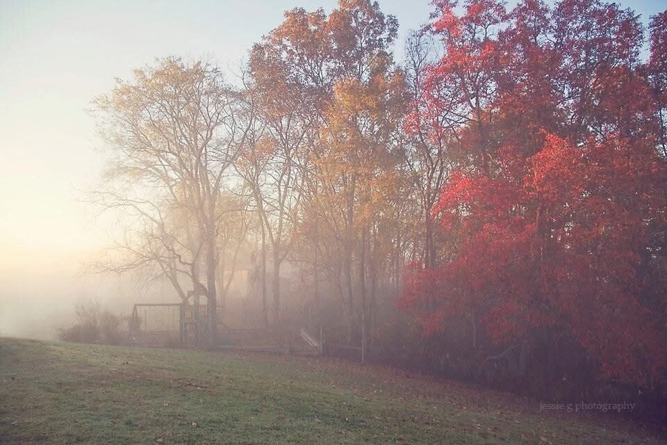 House in Lebanon, Tennessee, United States 4 - 18411408
