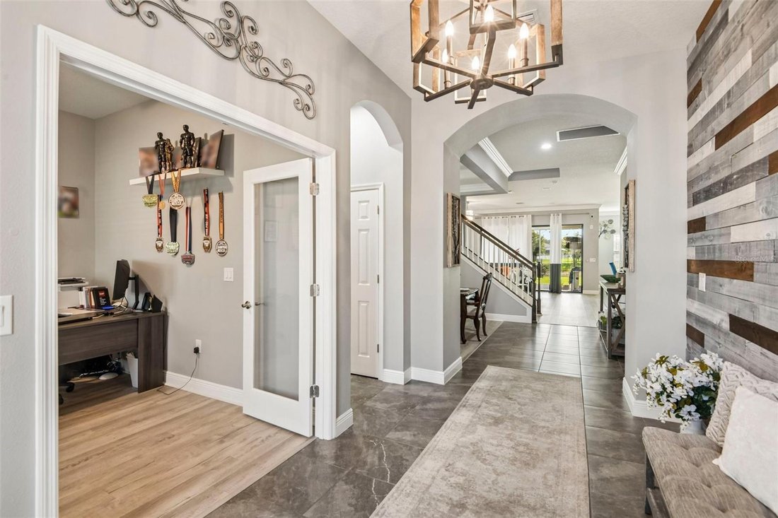 House in Land O' Lakes, Florida, United States 5 - 18422177