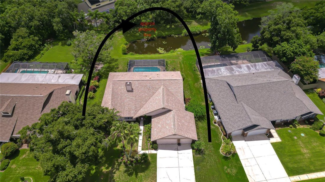 House in Odessa, Florida, United States 4 - 18422153