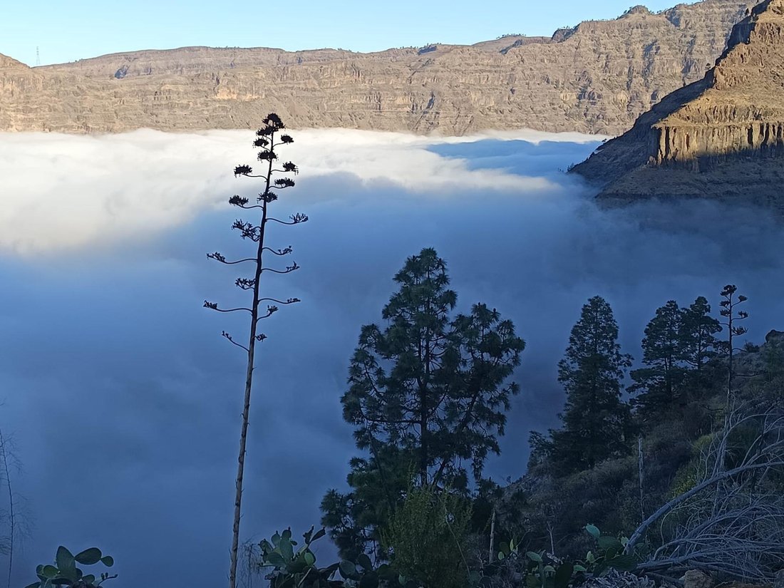 Country House in San Bartolome de Tirajana, Canary Islands, Spain 2 - 18423691