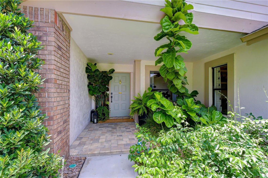 House in Odessa, Florida, United States 3 - 18422153