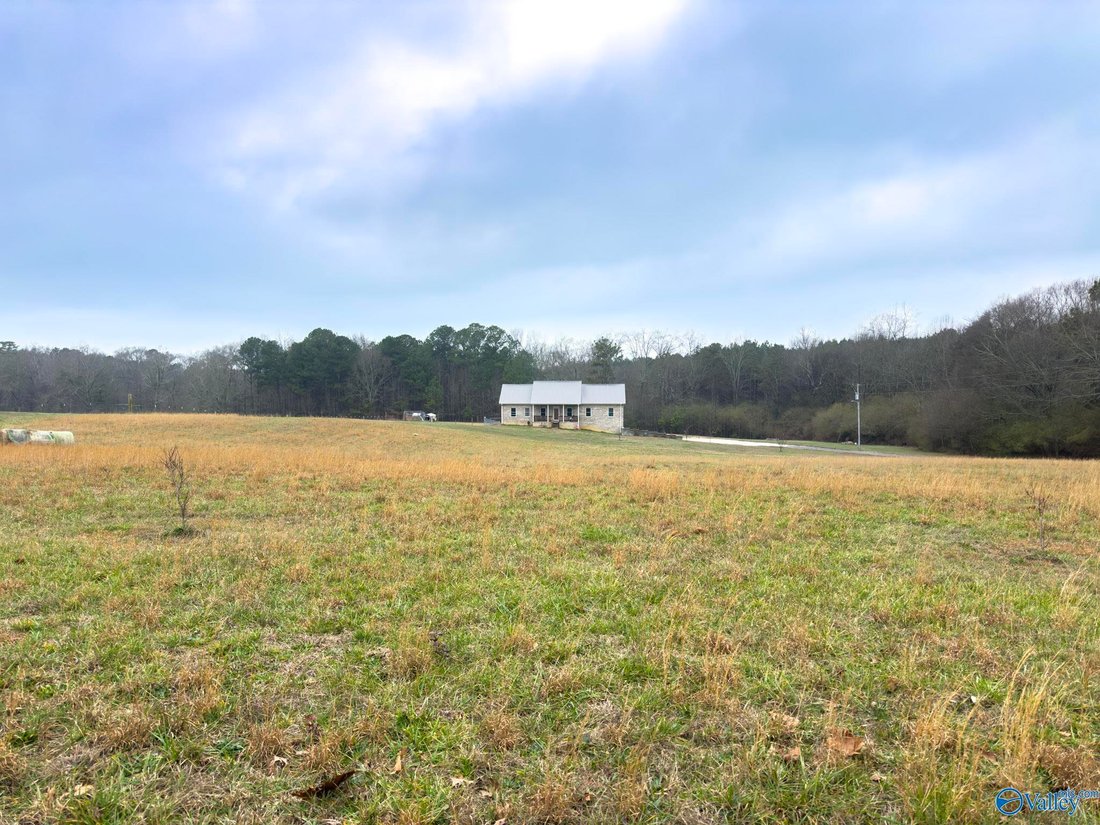 House in Holly Pond, Alabama, United States 2 - 18423224