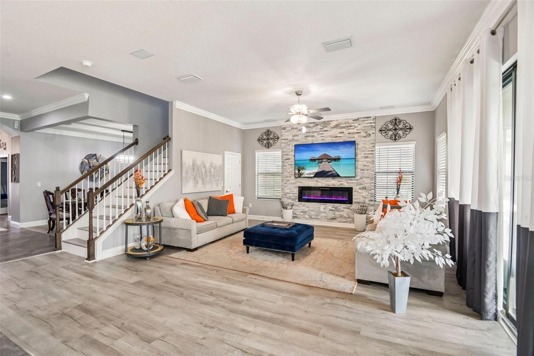 House in Land O' Lakes, Florida, United States 3 - 18422177