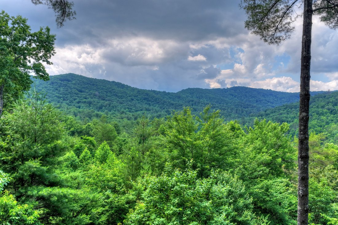 House in Blue Ridge, Georgia, United States 2 - 18183301