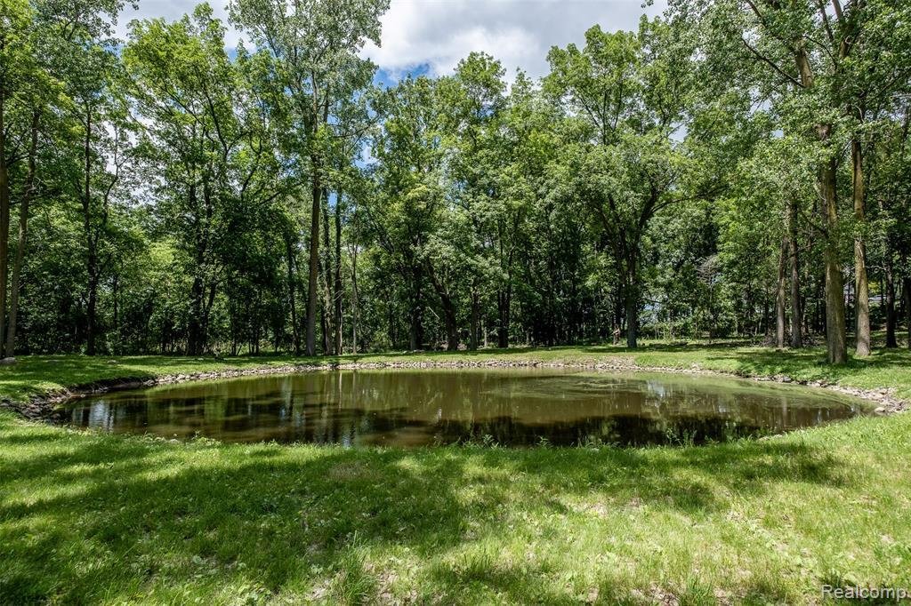 House in Chelsea, Michigan, United States 5 - 18398857