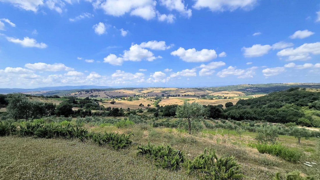 Villa in Magliano in Toscana, Tuscany, Italy 4 - 18424974