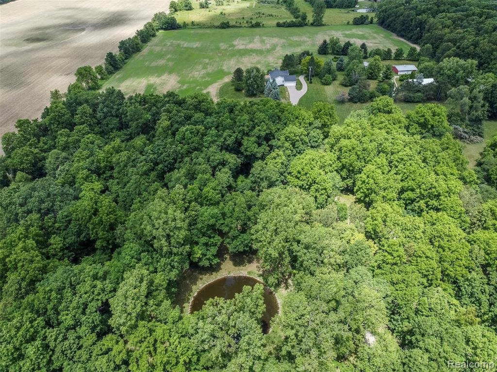 House in Chelsea, Michigan, United States 3 - 18398857