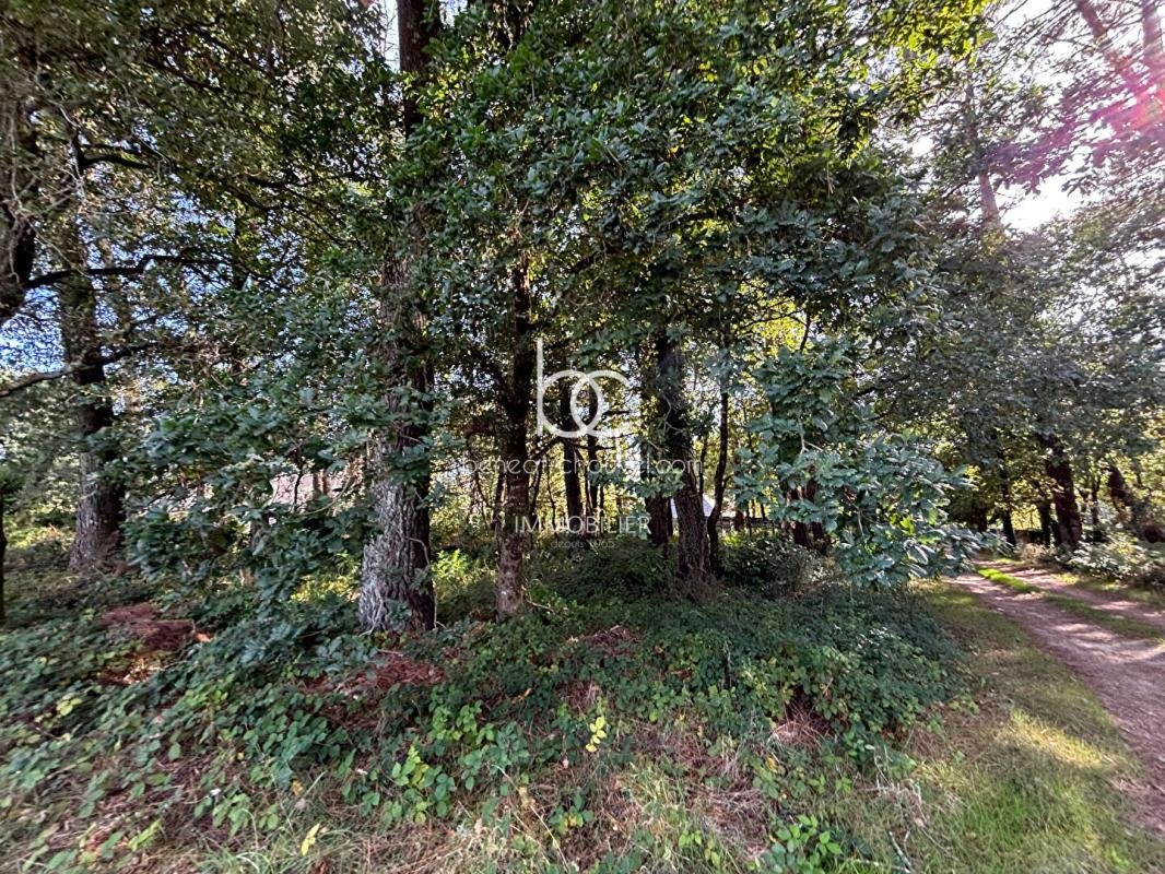 Land in Zone Industrielle du Prat, Vannes, France 5 - 18425845