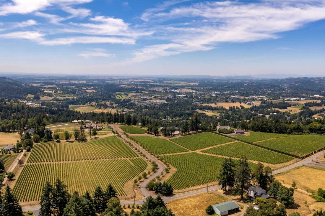 Land in Newberg, Oregon, United States 3 - 18425743