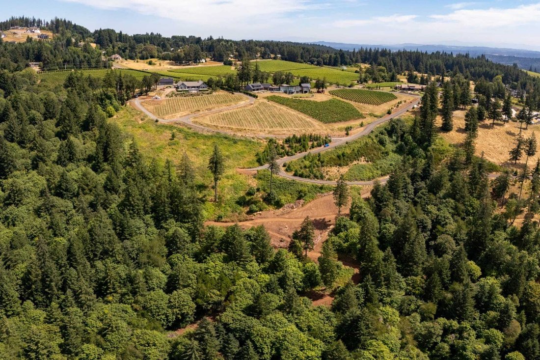 Land in Newberg, Oregon, United States 1 - 18425743