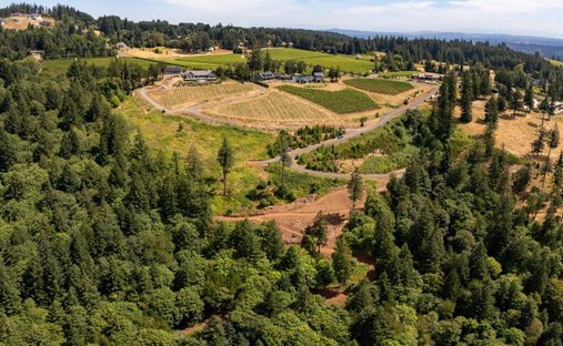Terrain à Newberg, Oregon, États-Unis 1