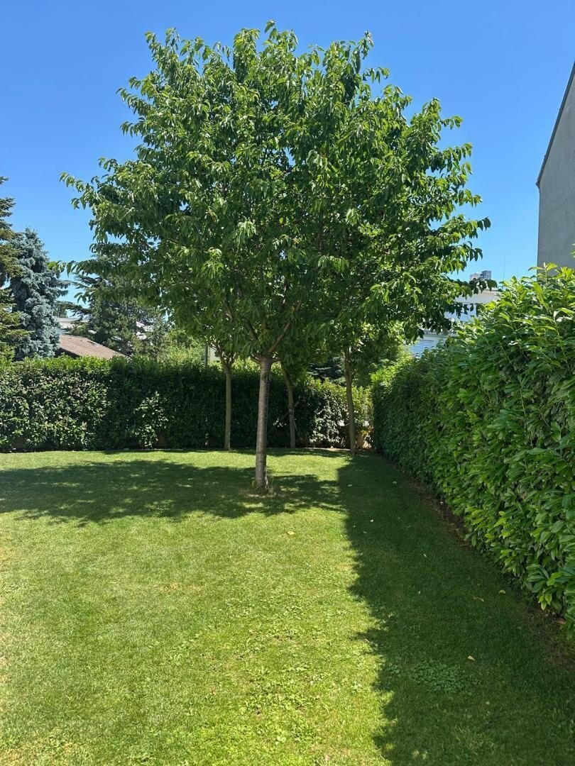 Apartamento en Viena, Viena, Austria 1 - 18426861