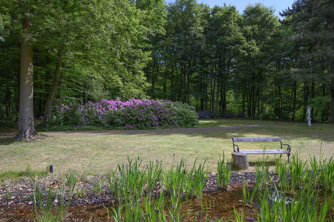 House in Eerbeek, Gelderland, Netherlands 3 - 18426278