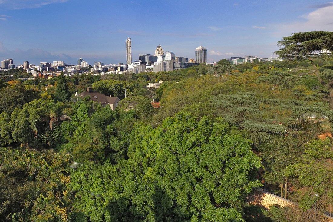 Land in Sandhurst, Gauteng, Südafrika 4 - 18426778
