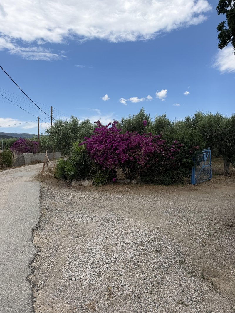 Land in Ermioni, Peloponnese, Western Greece and the Ionian, Greece 1 - 18426800
