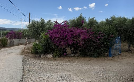 Land in Ermioni, Peloponnese, Western Greece and the Ionian, Griechenland 1