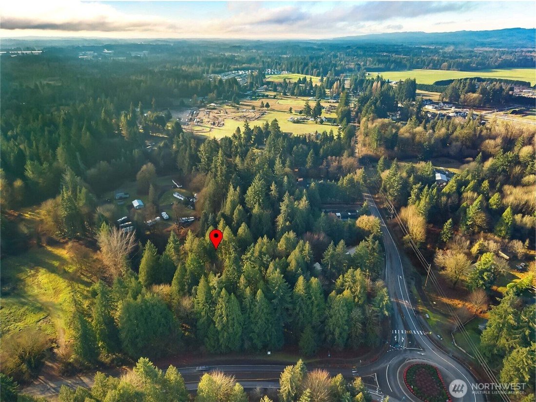Rochester, Washington, United States 4 - 18427020