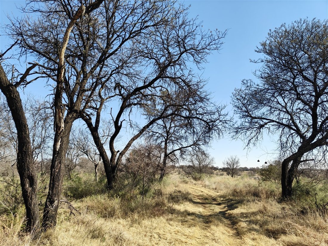 Farm Ranch in Johannesburg, Gauteng, South Africa 1 - 18428410
