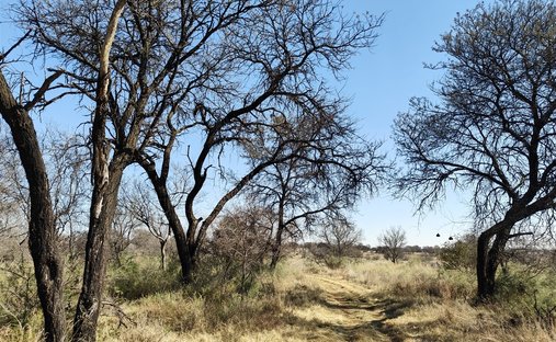 Farm Ranch in Johannesburg, Gauteng, South Africa 1