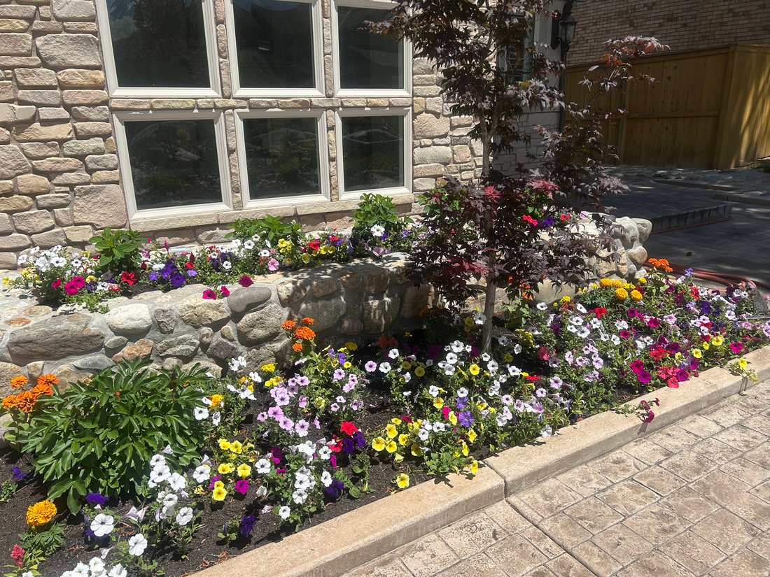 House in Cottonwood Heights, Utah, United States 3 - 18430969