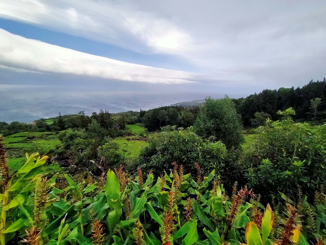 Land in Ribeirinha, Azores, Portugal 3 - 18430016
