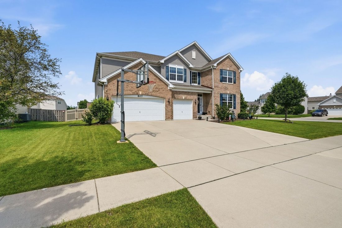 House in Joliet, Illinois, United States 4 - 18427790