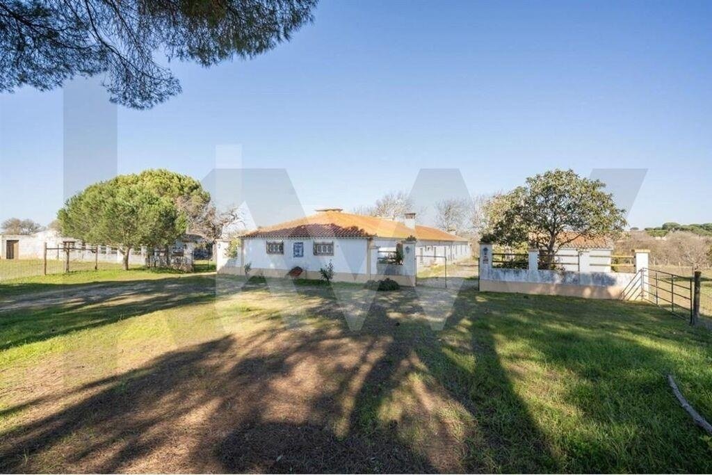 Farm Ranch in Benavente, Santarem District, Portugal 1 - 18433878