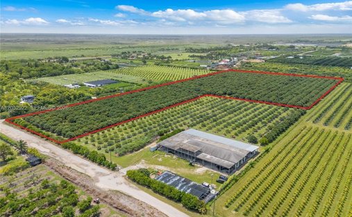 Land in Homestead, Florida, United States 1