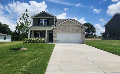 House in Smyrna, Tennessee, United States 1