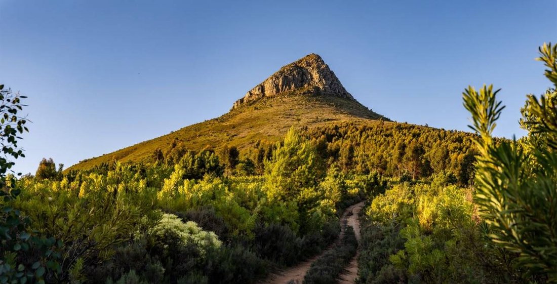 Land in Arbeidslus, Western Cape, South Africa 5 - 18430090