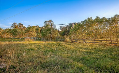 Farm Ranch in Angleton, Texas, United States 1