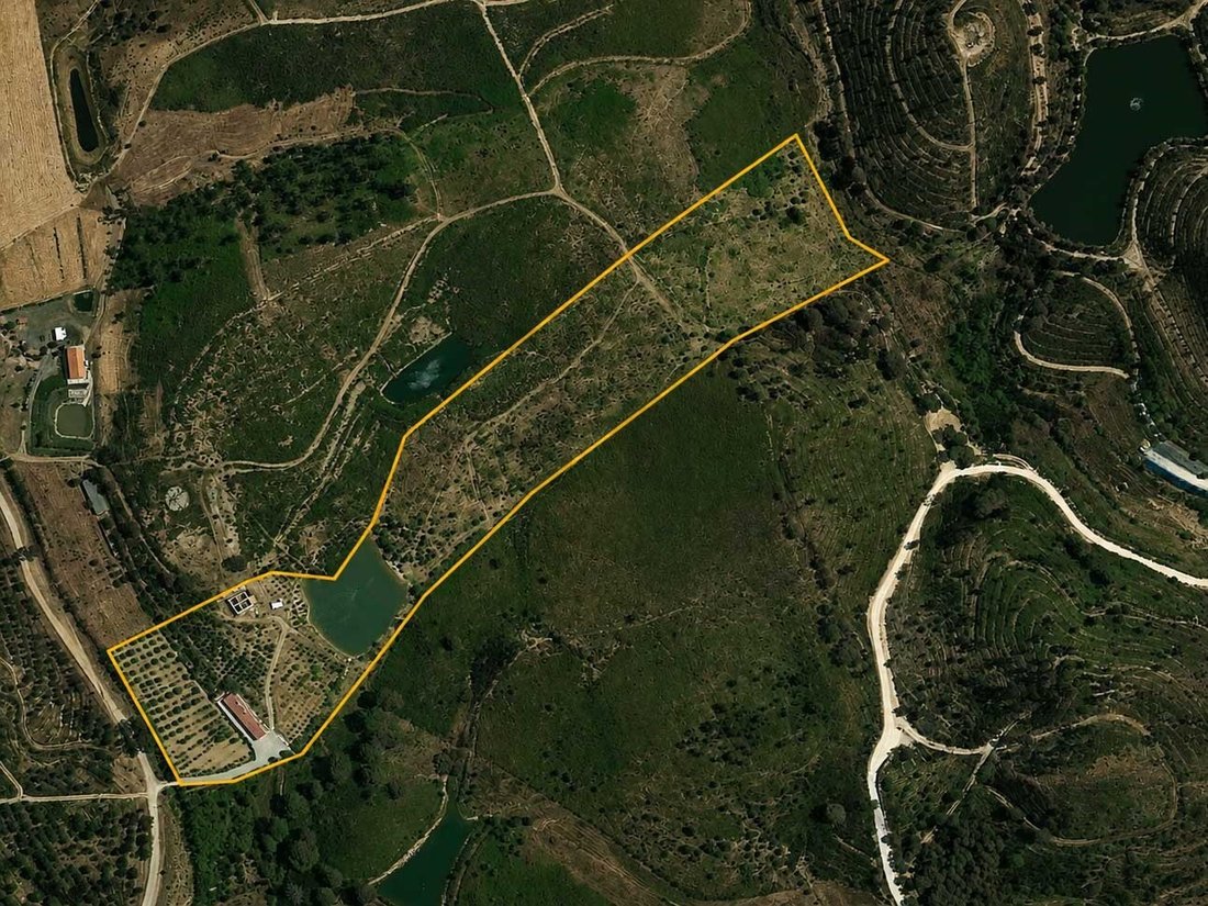 Finca à Mexilhoeira Grande, Algarve, Portugal 1 - 18432516