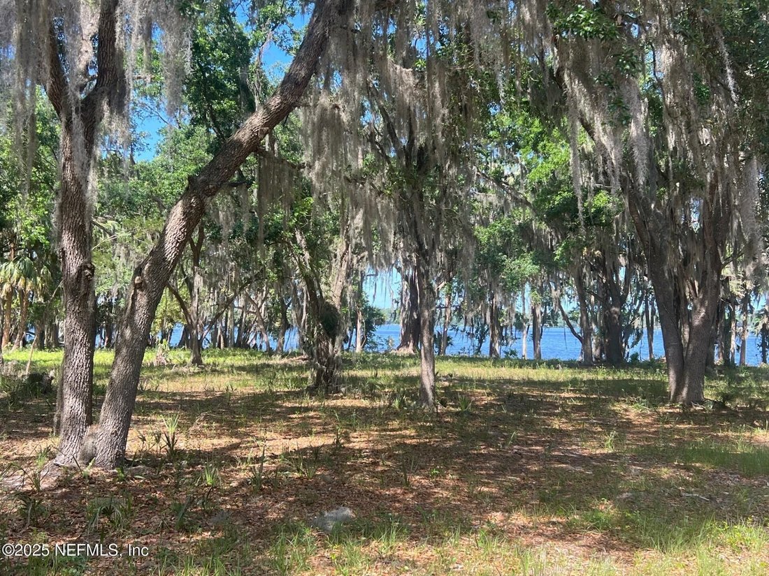 Land in Palatka, Florida, United States 1 - 18433098