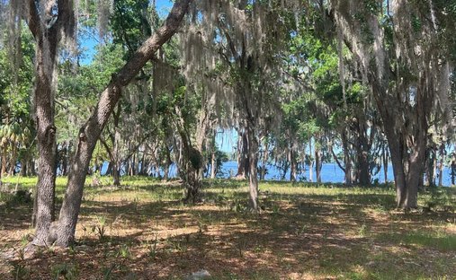 Terrain à Palatka, Floride, États-Unis 1