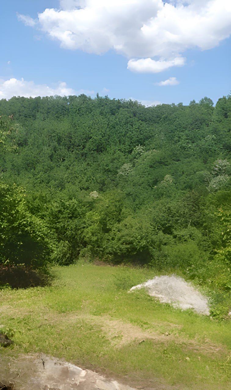Land in Kolasin, Kolašin Municipality, Montenegro 1 - 18428816