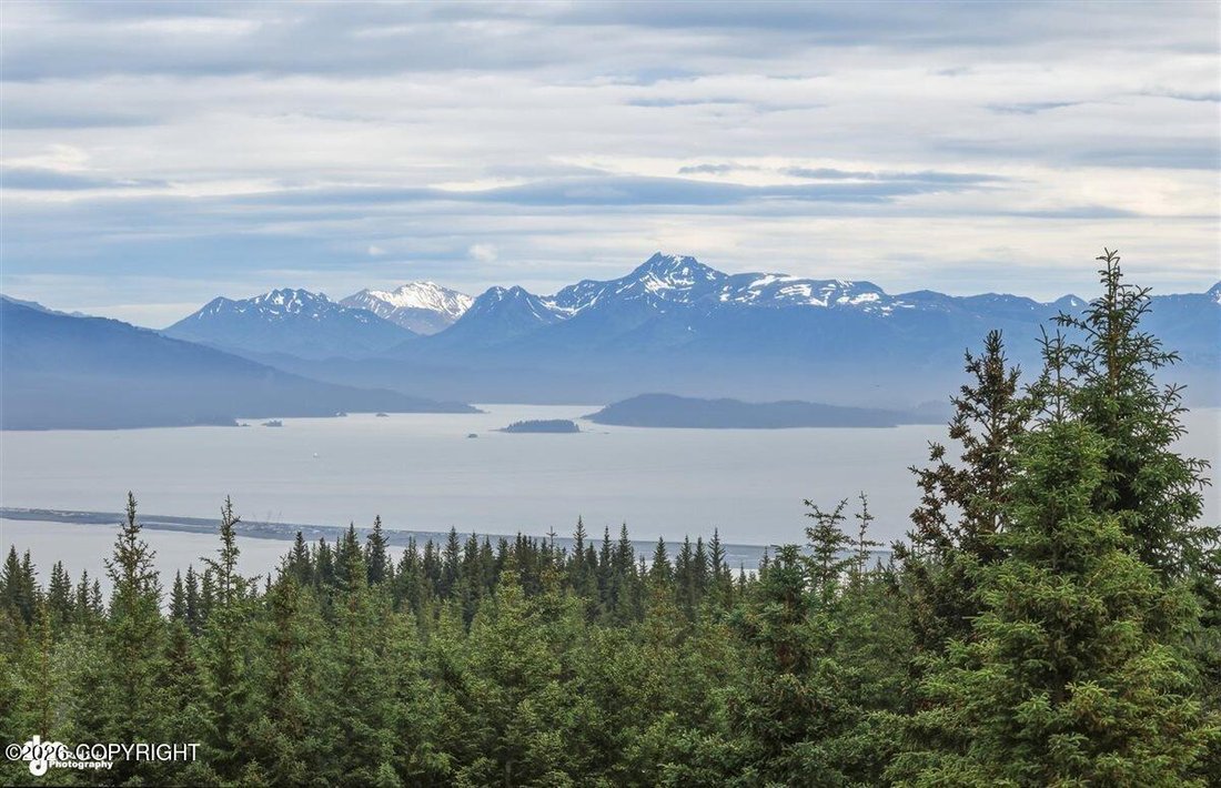 House in Homer, Alaska, United States 4 - 18430787