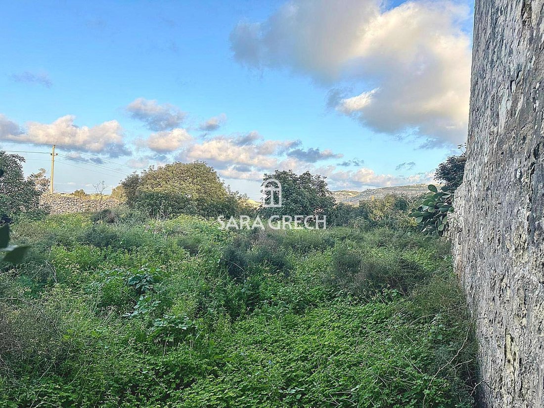 House in Naxxar, Malta 4 - 14642523