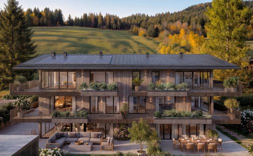 Apartment in Hinterthal, Salzburg, Austria 1